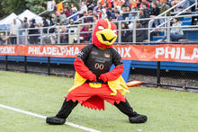 Load image into Gallery viewer, 2026 Starter Pack