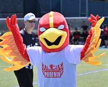 Load image into Gallery viewer, Philadelphia Phoenix vs. DC Breeze - 7/19/25