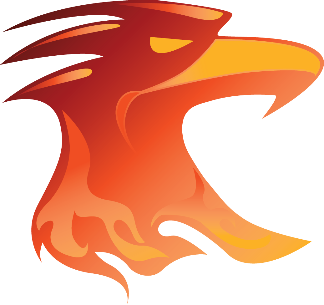 Official 2023 Hotbird Sun Hoodie – Phila Phoenix