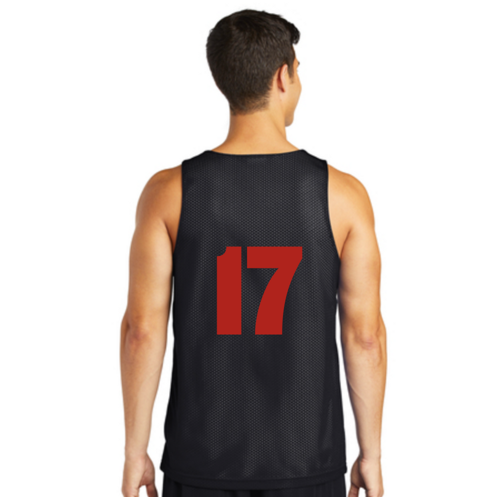 *Phoenix Reversible Pinnie*