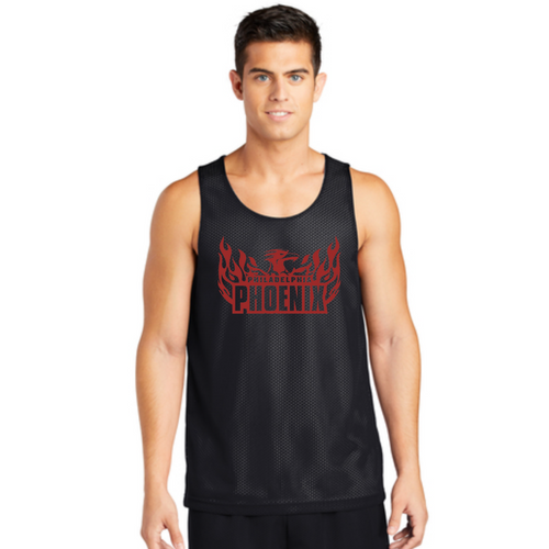 *Phoenix Reversible Pinnie*